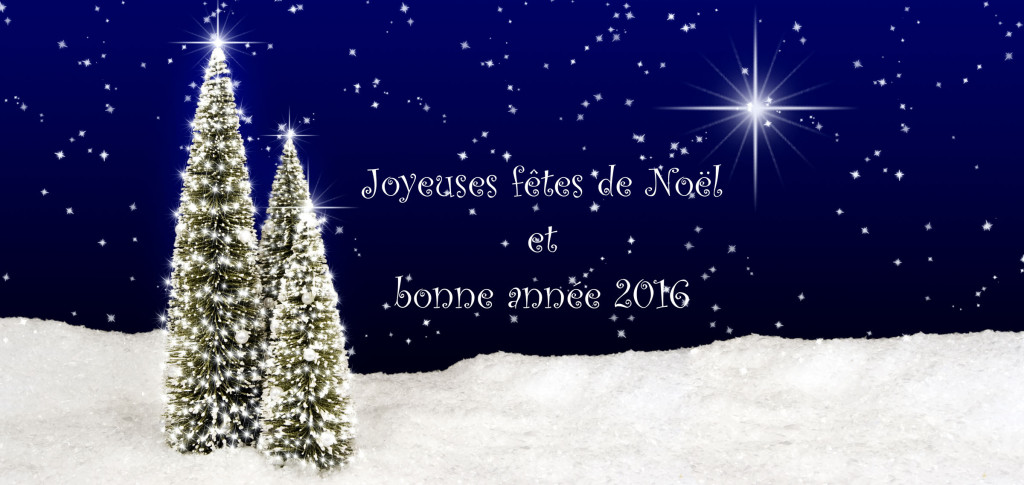 Joyeuses fêtes de Noël et bonne année 2016