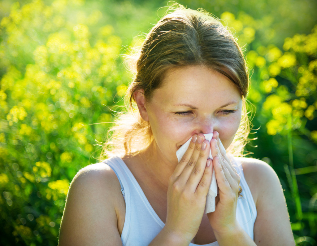 Rhinite allergique saisonnière et réponse immunitaire