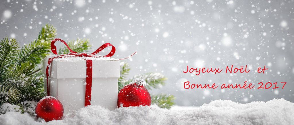 Joyeux noël et bonne année 2017!