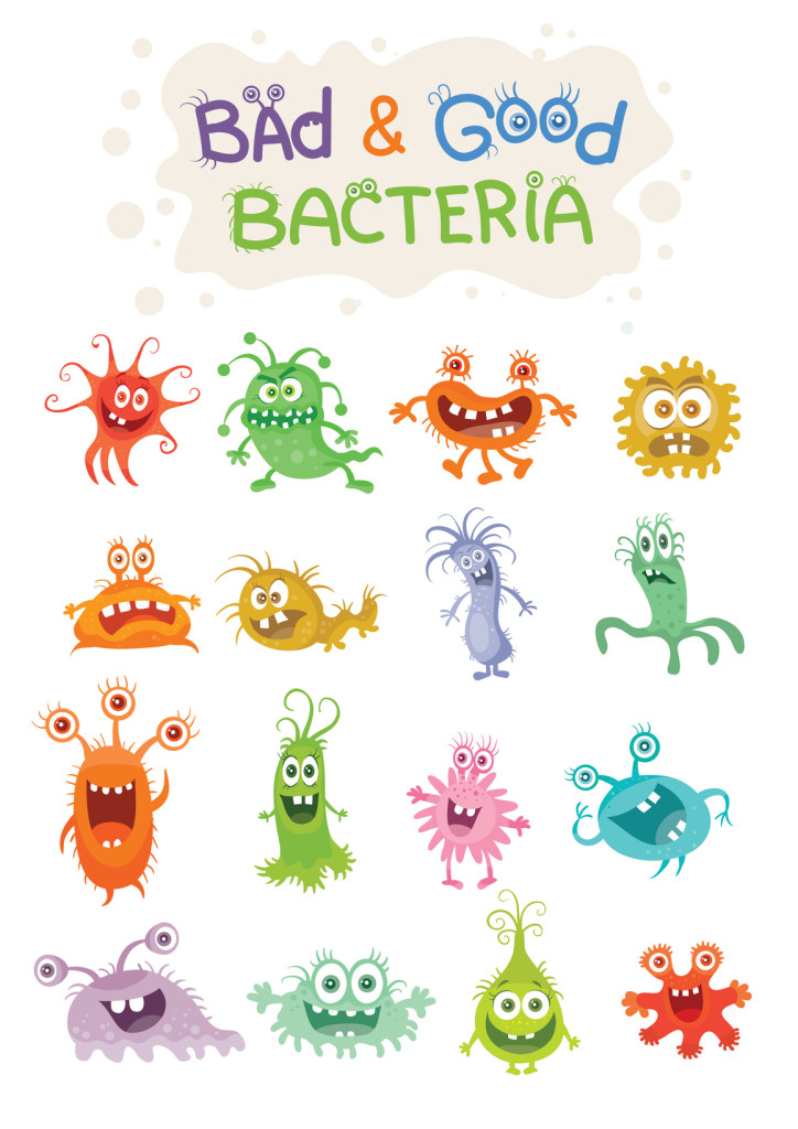 Prébiotiques, probiotiques et système immunitaire